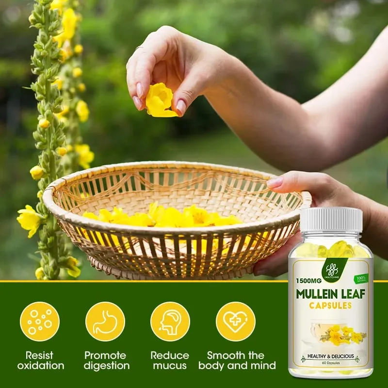 iMATCHME Mullein Leaf Capsules Lung Cleansing Unobstructed Breathing Relieve Cough Detoxification Health Care Antioxidat Enhance Immunity — image 4