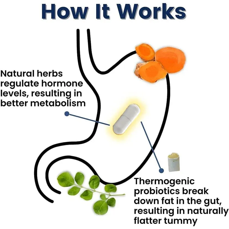 Balancer Probiotic Supplement - Supports Weight Management and Overall Gut Health - Daily Probiotic Formula — image 6