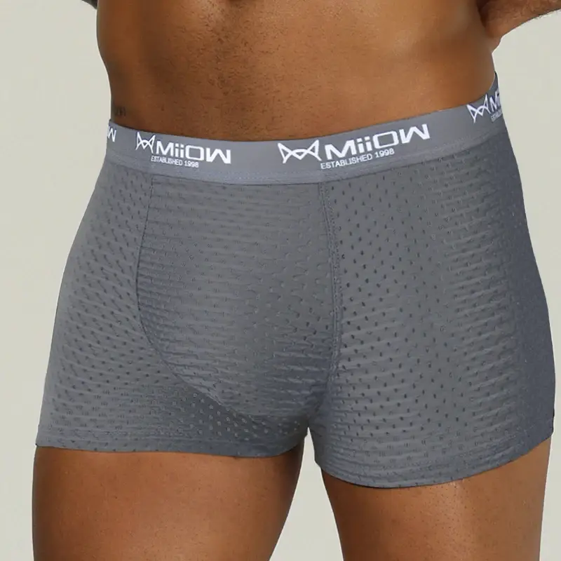 MiiOW Sexiga män Boxershorts Underkläder Mesh Andas Ice Silk Man Trosor Underkläder Kalsonger Boxershorts Plus Size L-4XL 2022 — image 12