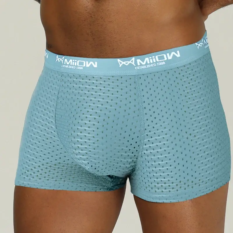 MiiOW Sexiga män Boxershorts Underkläder Mesh Andas Ice Silk Man Trosor Underkläder Kalsonger Boxershorts Plus Size L-4XL 2022 — image 7