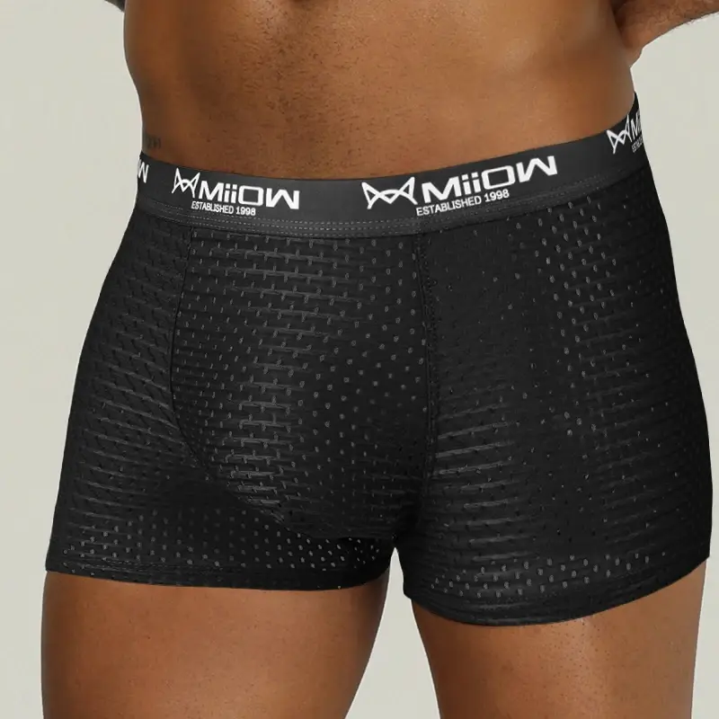 MiiOW Sexiga män Boxershorts Underkläder Mesh Andas Ice Silk Man Trosor Underkläder Kalsonger Boxershorts Plus Size L-4XL 2022 — image 9