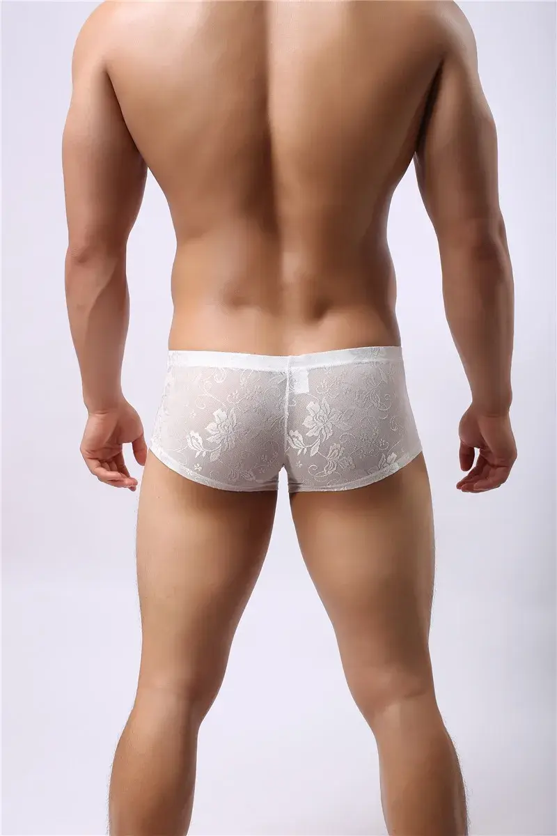Sexy Mens Boxers Shorts Mesh Panloob na Kasuotan ng Lalaki Lingerie Trunk Transparent Mesh See Through Lace Underpants — image 4