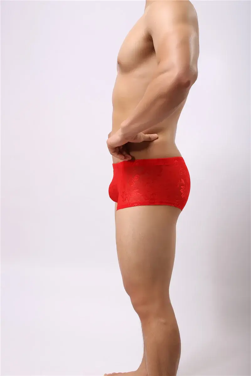 Sexy Mens Boxers Shorts Mesh Panloob na Kasuotan ng Lalaki Lingerie Trunk Transparent Mesh See Through Lace Underpants — image 2