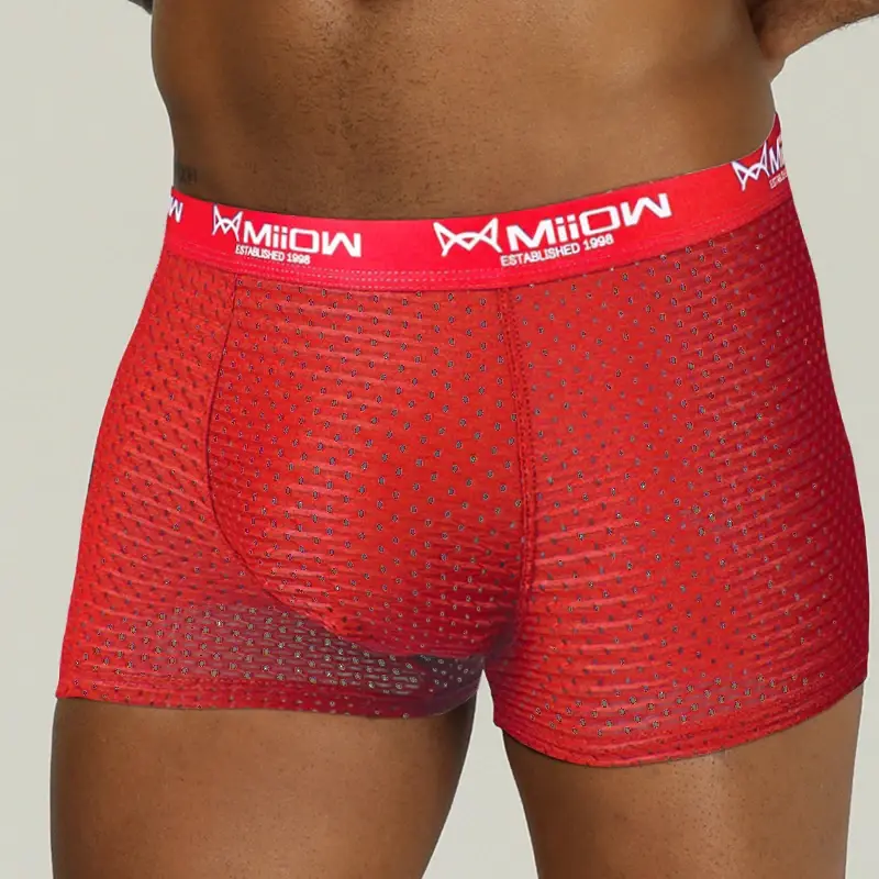 MiiOW Sexiga män Boxershorts Underkläder Mesh Andas Ice Silk Man Trosor Underkläder Kalsonger Boxershorts Plus Size L-4XL 2022 — image 8