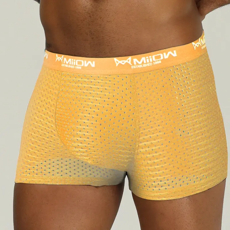 MiiOW Sexiga män Boxershorts Underkläder Mesh Andas Ice Silk Man Trosor Underkläder Kalsonger Boxershorts Plus Size L-4XL 2022 — image 10