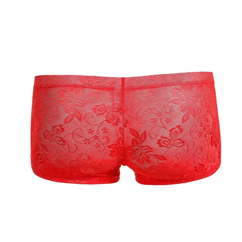 Sexy Mens Boxers Shorts Mesh Panloob na Kasuotan ng Lalaki Lingerie Trunk Transparent Mesh See Through Lace Underpants — image 13