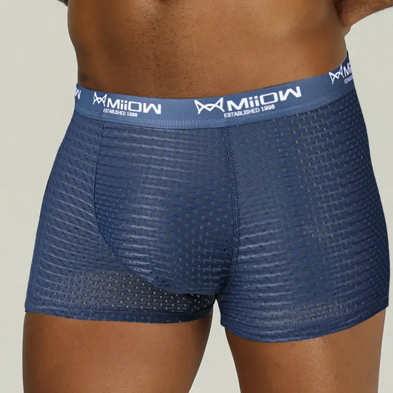 MiiOW Sexiga män Boxershorts Underkläder Mesh Andas Ice Silk Man Trosor Underkläder Kalsonger Boxershorts Plus Size L-4XL 2022 — image 11