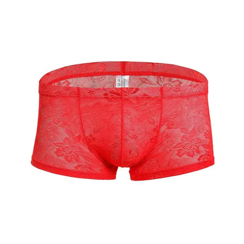 Sexy Mens Boxers Shorts Mesh Panloob na Kasuotan ng Lalaki Lingerie Trunk Transparent Mesh See Through Lace Underpants — image 12