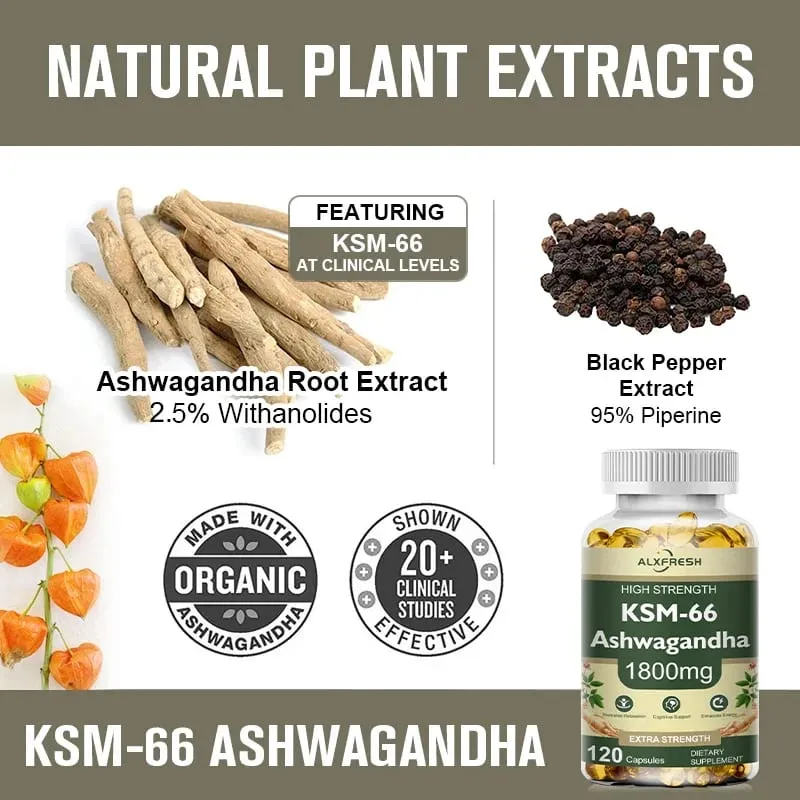 KSM-66 Cápsulas Orgânicas de Ashwagandha com Zinco | Vegano não OGM | Suplemento de saúde de fórmula premium — image 4
