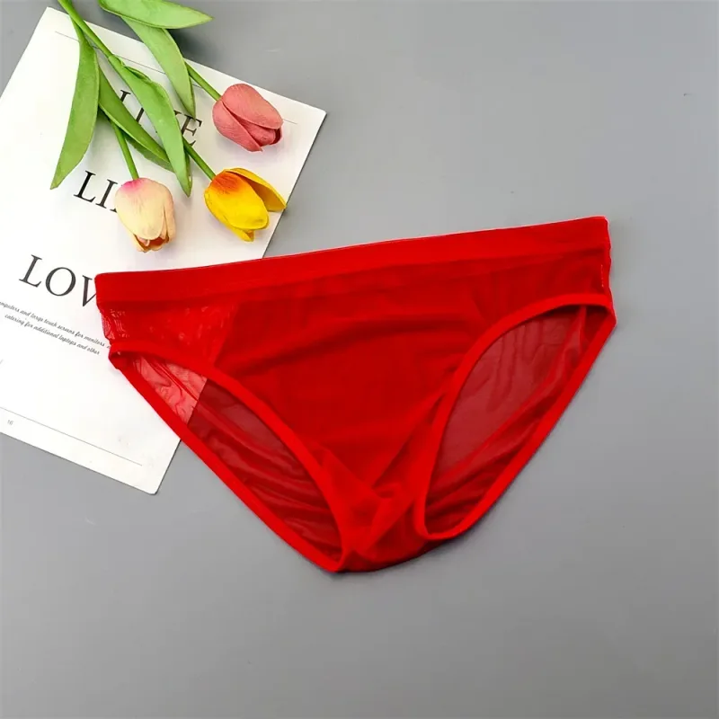 Plus Size Transparent Underwear See Through Sexy Briefs for Men with Pouch Nylon Hombre Slips Breathable Male Panties XL-4XL — image 26