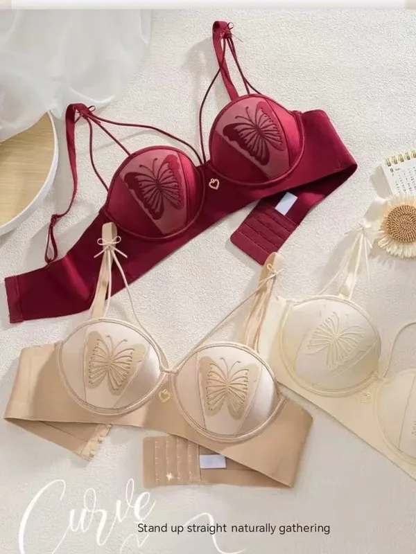 Sexy Push Up Lingerie Small Breast Gathering Anti-sagging Seamless Bra Sexy Beauty Back Butterfly Wire Free Lingerie Bra