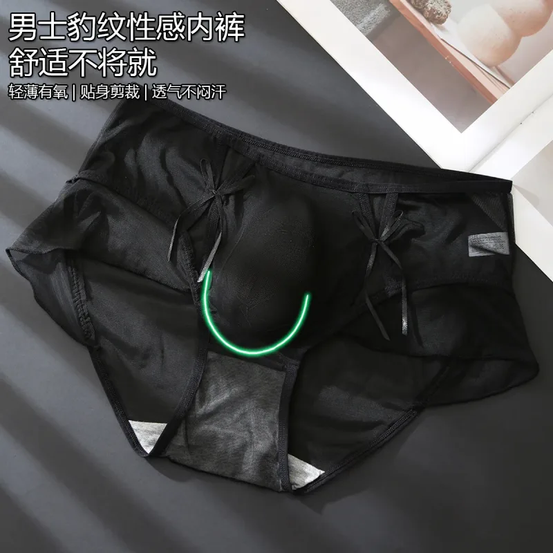 Men's Ruffle Mesh Sissy Panties See Through Crossdresser Silky Knicker Hollow High Waist Brief Sissy U Convex Pouch Underpant — image 5
