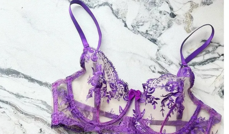 French Style Mesh Embroidery Lace Bra Set With Underwire Slightly Sheer Thin Lingerie Minimizer Bra For Big Bust S-XL