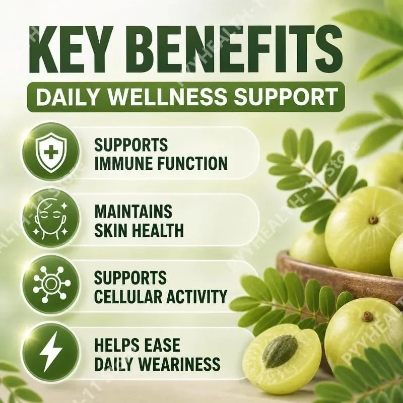 Docteat Amla fruktextraktkapslar för immunstöd och hudhälsa med vitamin C Vitamin B3 CoQ10 och PQQ 60 kapslar — image 5