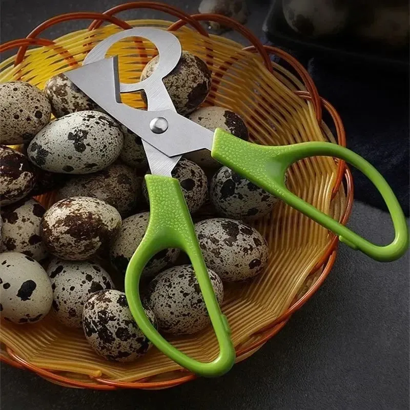 1 Pcs Kitchen Tools Quail Eggs Scissors Cutter Eggs Opener Eggs Slicer Home Tools Scissors Accessories Tools Cigar Bottle Opener — image 7