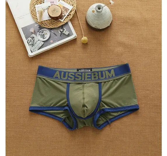 Men's mesh panties low waist fashion breathable mesh nest letter youth boxers — image 11