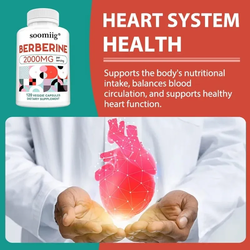 2000 Mg Berberine Supplement Capsules Supports Metabolism Regulates Blood Sugar Levels and Enhances The Immune System — image 3