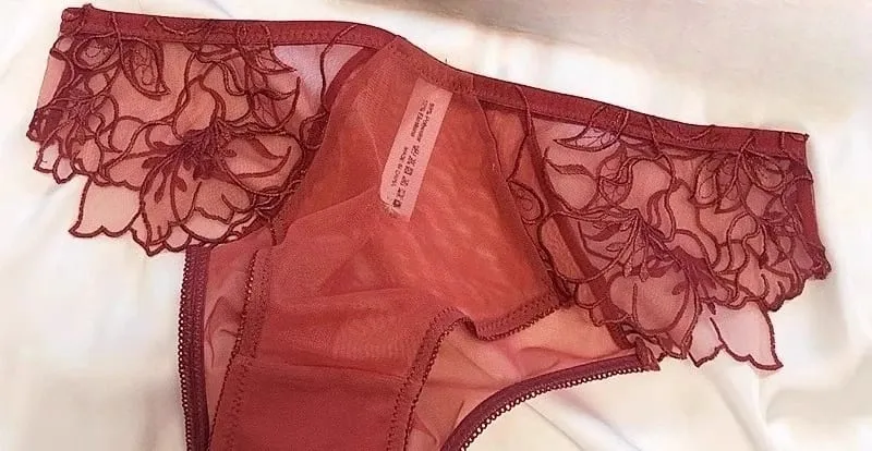 Sexy Wireless Bra for Women French Lace Triangle Bralette No Padding Underwear Minimalist Thin Strap Small Cup Lingerie MOYISU