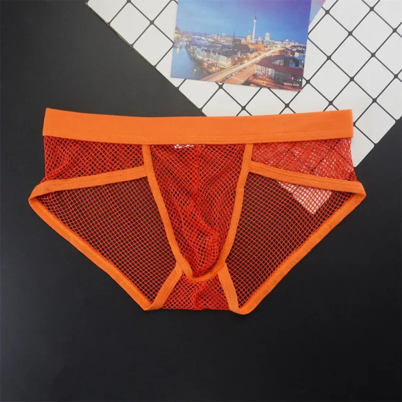 Plus Size Mesh Underwear Men Transparent Large Fishnet U Pouch Briefs Male Low Waist Solid Color Sexy Perspective Male Panties — image 21