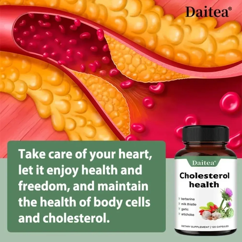 Cholesterol Supplements - Keep Blood Flowing and Promote Cardiovascular Health — image 4