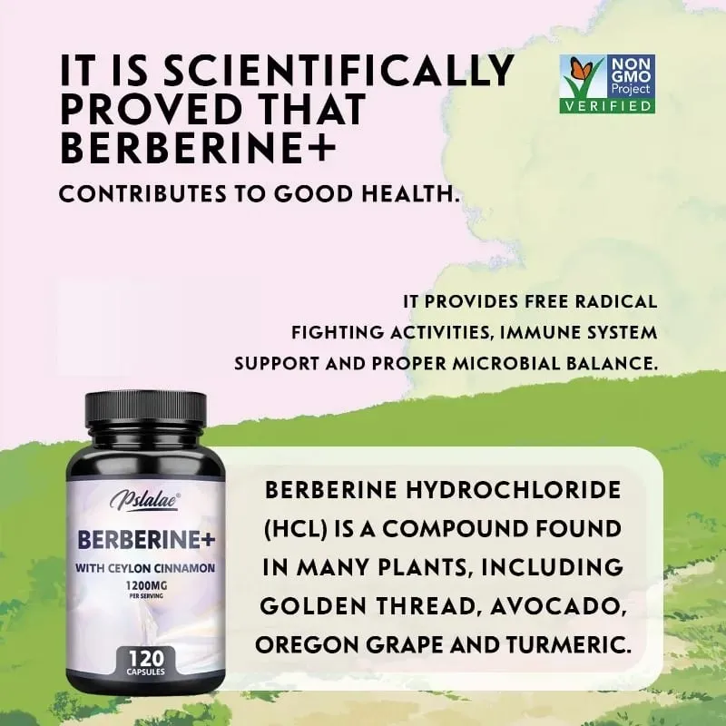 Berberine with Ceylon Cinnamon Capsules - Improve Digestion Supports Cellular Energy Metabolism Promotes Heart and Brain Health — image 4