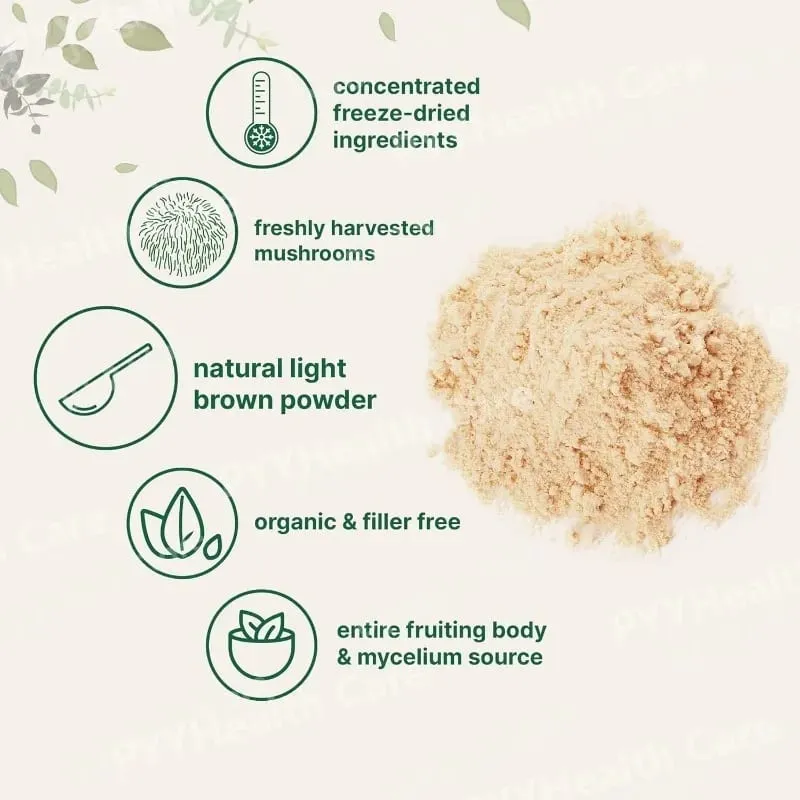 Organic Lion’s Mane Mushroom Pure Fruiting Body Superfood Supports Brain Focus Energy Immune Health Great for Smoothies Coffee — image 4