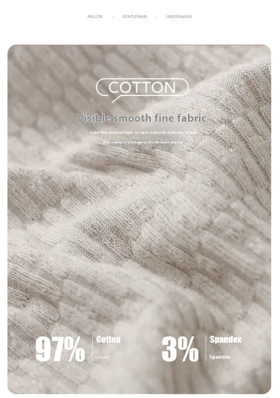 Mga Bagong Panti ng Lalaki Mga Lalaki Sexy na Kasuotang panloob na Teenage Cotton Panties Triangle Pants Malaking Sukat Simple Breathable Manipis na Tide Shorts — image 13