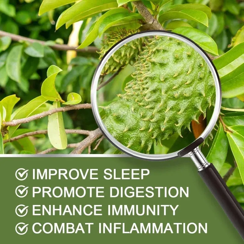 Sinusuportahan ng Soursop Graviola 1950mg Capsules ang Healthy Immune System Digestion Mas mahusay na pagtulog at Natural na Antioxidant Activity — image 5