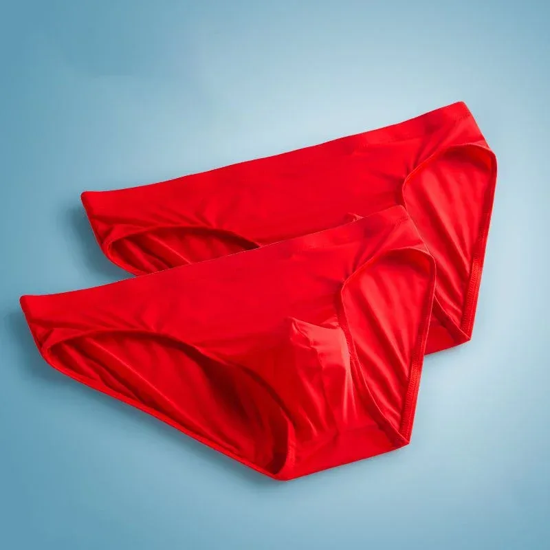 2pcs Ice Silk Men Bulge Pouch Briefs Silk Smooth Nylon Underwear Low Waist U Convex Male Panties Europe Size M-XXL
