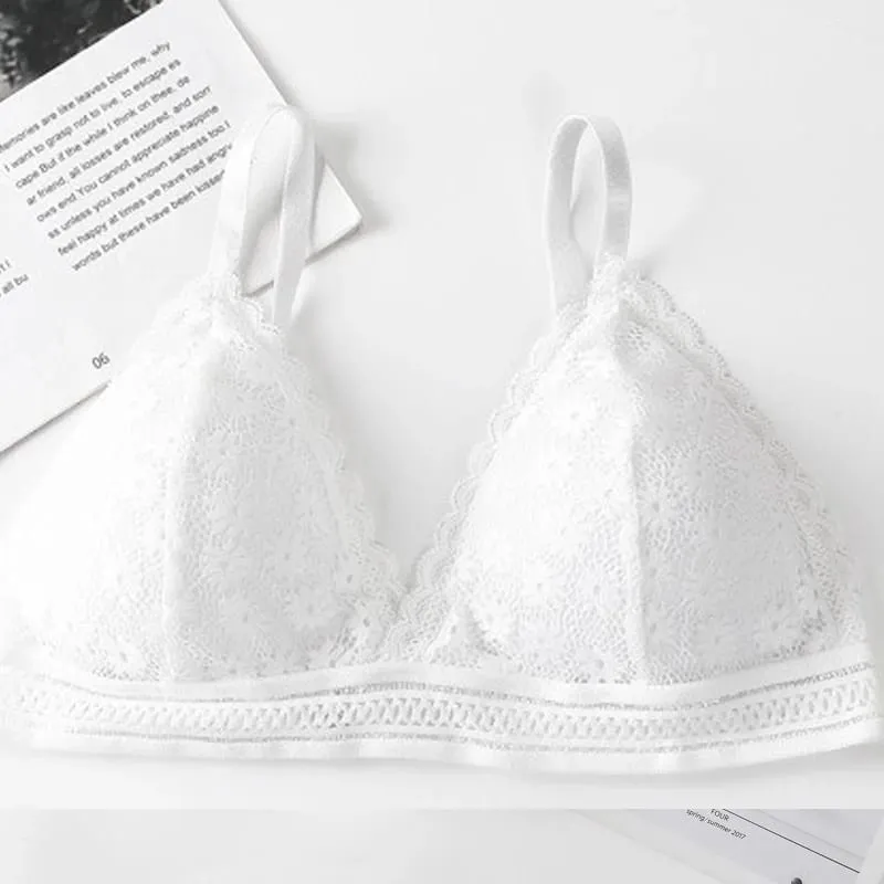 Lace Back Women Bra Set Without Steel Rims French Triangular Cup Comfortable Chest Covering Stretchable Skin Friendly Underwear — image 11