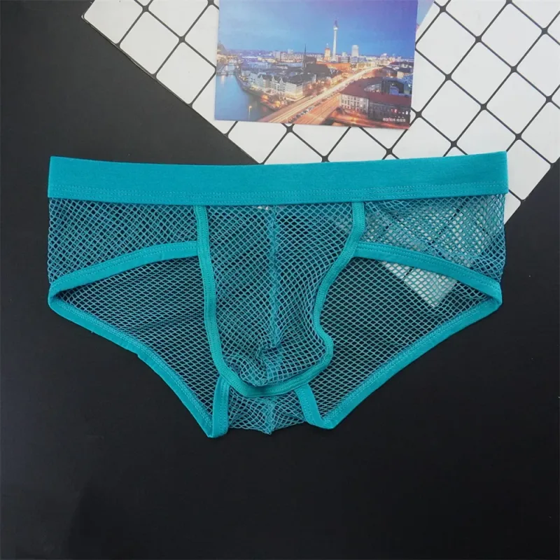 Plus Size Mesh Underwear Men Transparent Large Fishnet U Pouch Briefs Male Low Waist Solid Color Sexy Perspective Male Panties — image 20