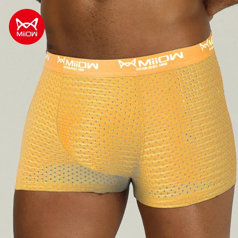 MW808-Yellow