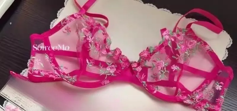 French Floral Bra Set Women | Sweet Sexy Sheer Mesh Lace Transparent Underwear Set | Practical & Feminine MOYISU Sexy Panty Set — image 15