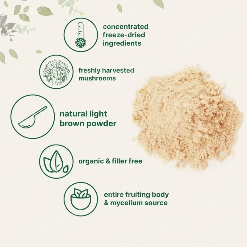 Organic Lion’s Mane Mushroom Powder Supports Brain Focus Energy and Immune Health Great for Smoothies & Coffee 454g Per Bag — image 4