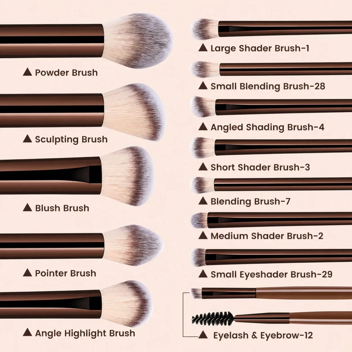 13PCS Makeup Brush Set Soft Bristles for Foundation Blush Loose Powder and Eyelash Grooming Student Essentials Beginner Kit — image 6