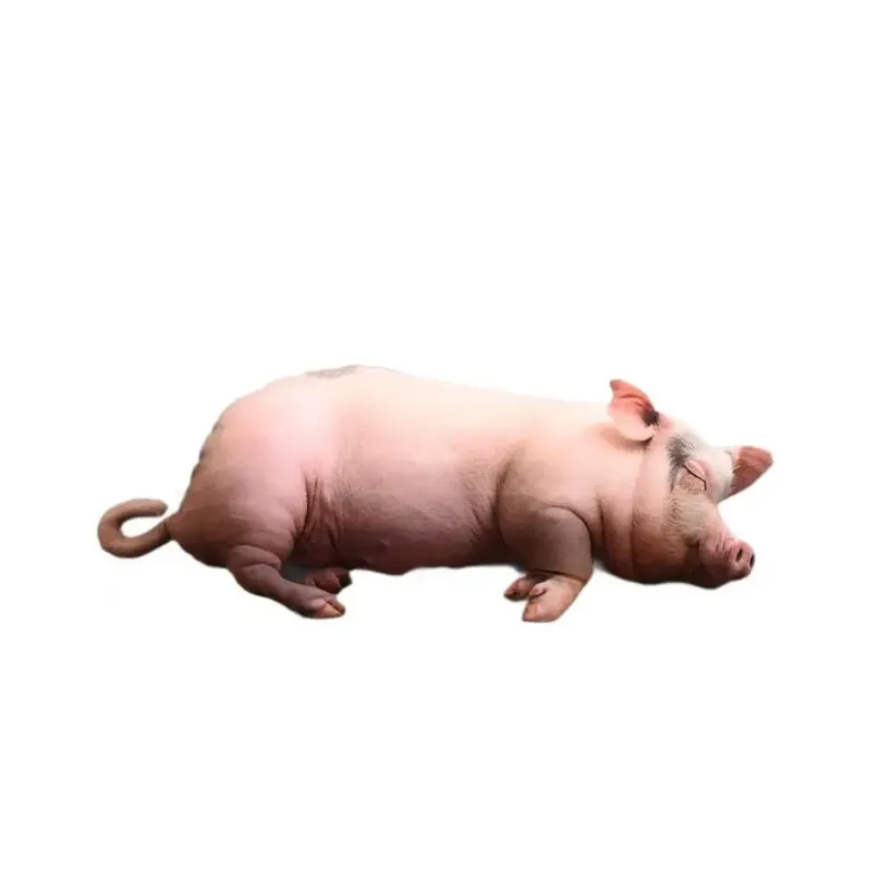 Plush Material Animal Body Pillow PP Cotton Filled 40cm Size Poultry Throw Pillows Cute Design Soft Texture Pig Keychain — image 4