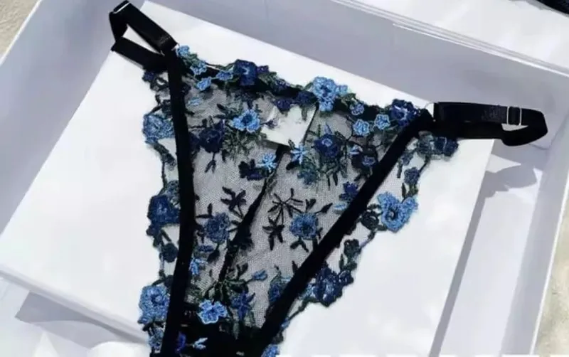 French Floral Bra Set Women | Sweet Sexy Sheer Mesh Lace Transparent Underwear Set | Practical & Feminine MOYISU Sexy Panty Set — image 23