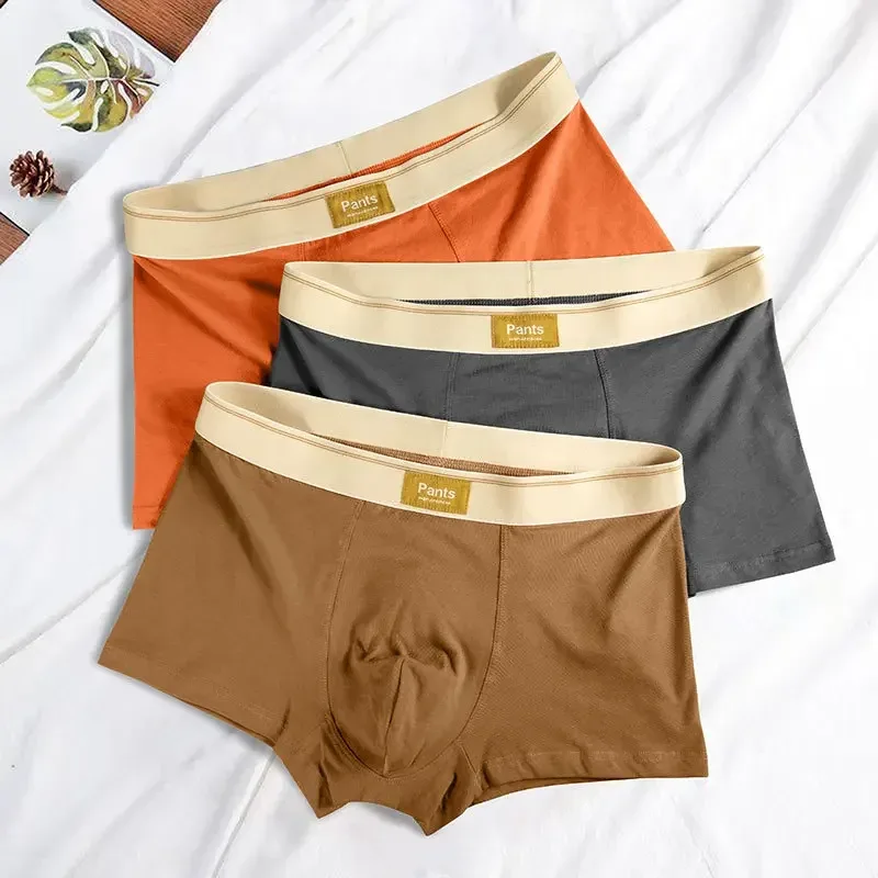 Panlalaking Kasuotang Panloob na Cotton BoxerShorts Hombre Panties Lalaking Makahinga Panloob Sexy Sports Comfort Panlalaking Boxer Malaking Laki L-7XL — image 4