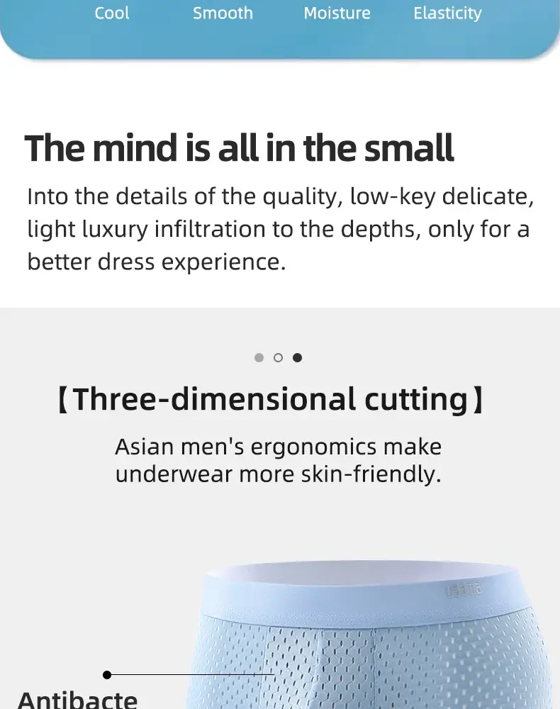 5pcs Men's Boxer Shorts Ice Silk Underwear Plus Size Underpants Cool Breathable Sexy Slim Panties Mesh Lingerie Wholesale Lots — image 10