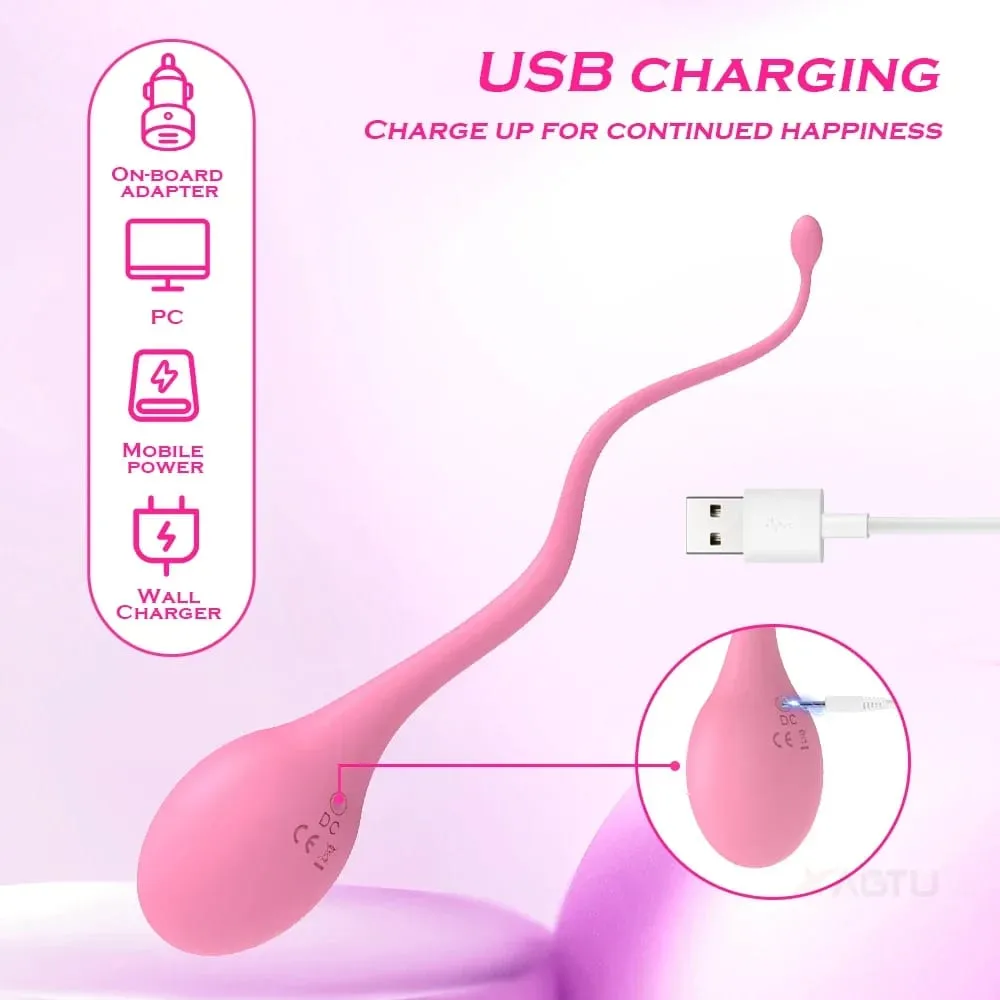 Remote Control Vaginal Vibrator Para sa Mga Babae Nipple Clitoris Stimulator Magsuot ng Vibrating G-Spot Love Egg Massager Mga Sex Toys para sa Matanda — image 6