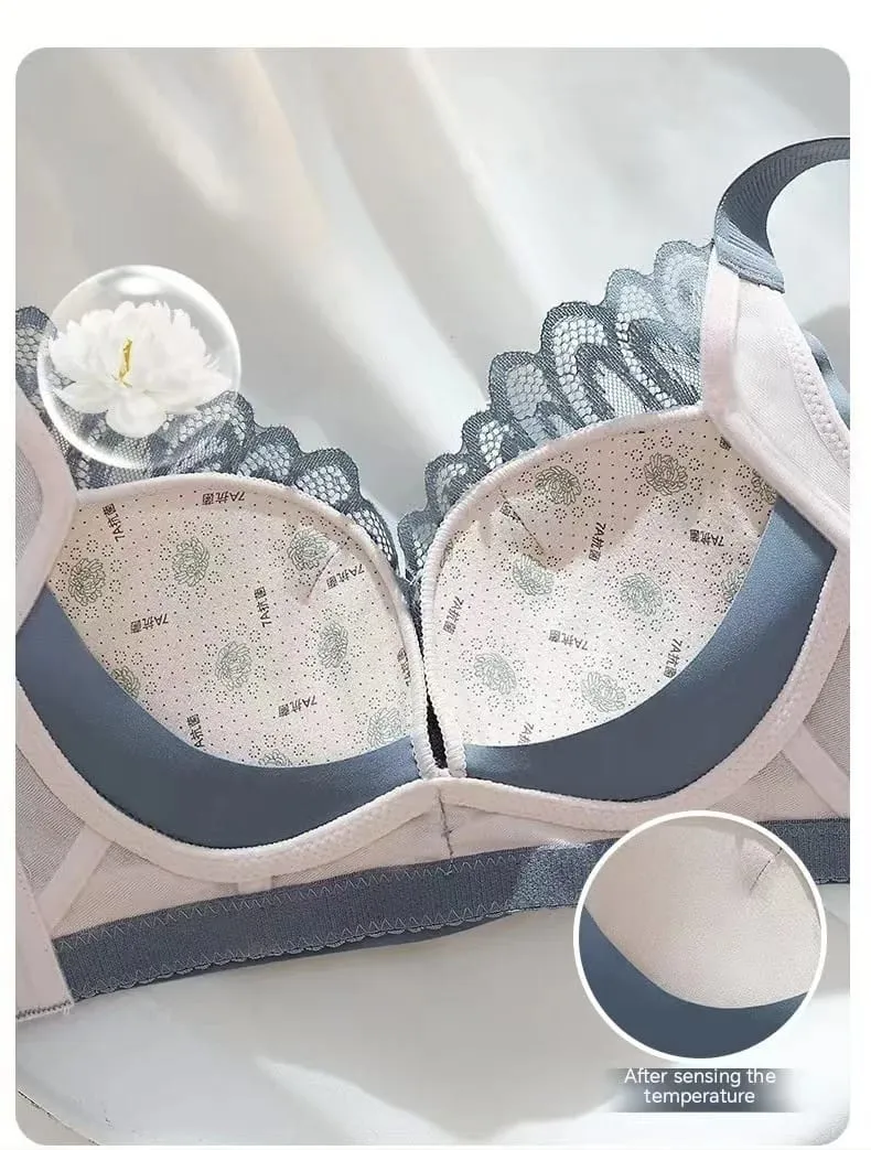 Sexy Lace Push-Up Lingerie Bra for Small Breasts Anti-Sagging Adjustable Beauty Back Non-Underwire Gathering Bra — image 4