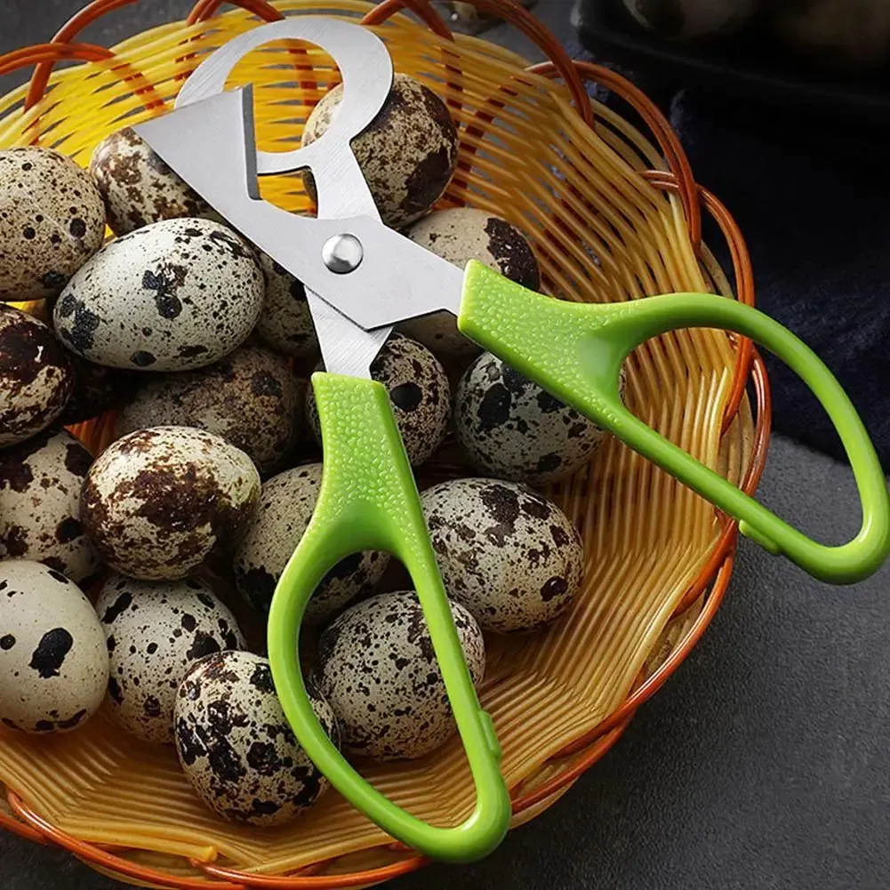 1-20PCS Stainless Steel Quail Egg Scissors Egg Shell Cutter Opener - High Quality Steel Blades Brand New Durable Egg Slicer Tool — image 7