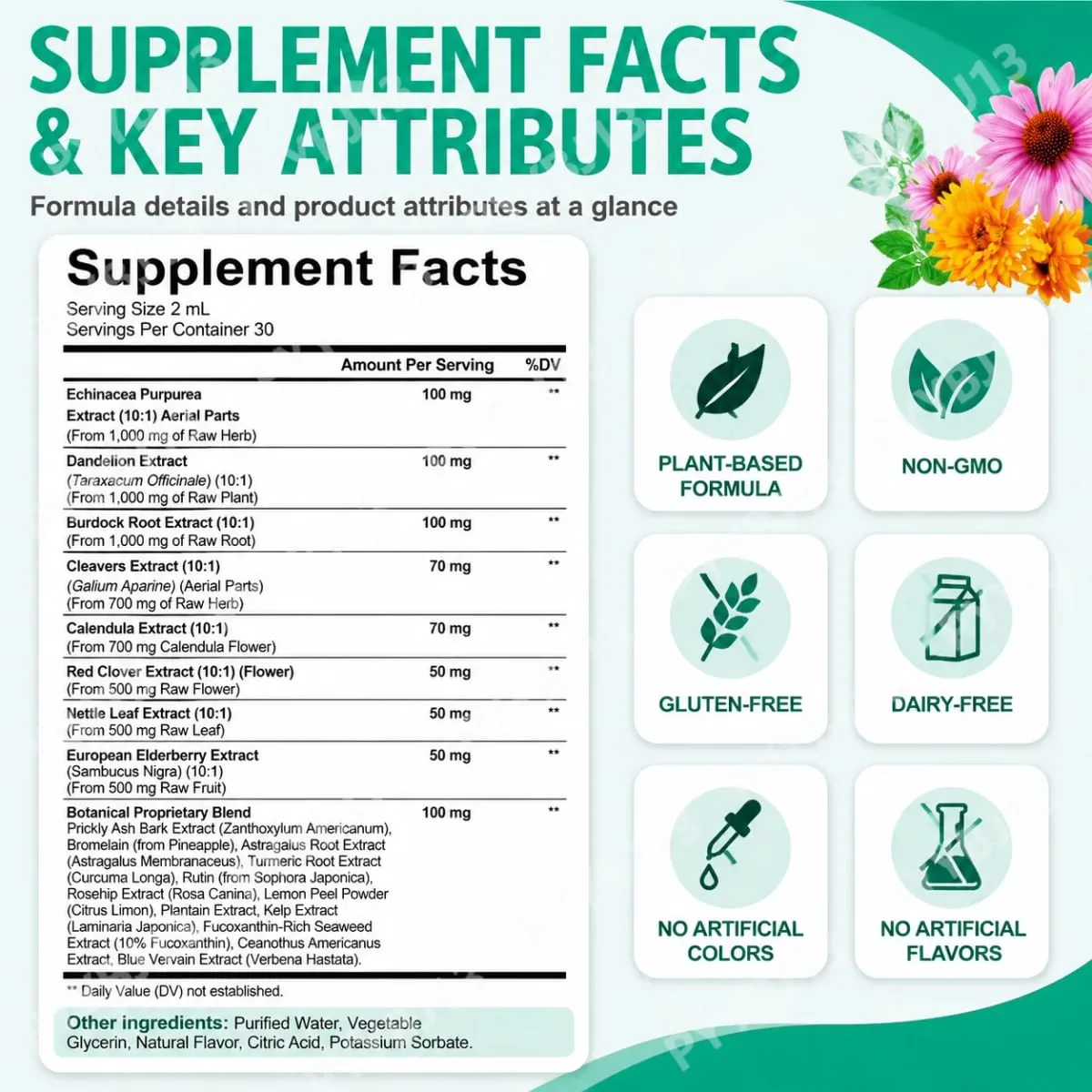 Lenm 60ml sistema linfático limpa suplementos líquidos de suporte imunológico gotas de ervas linfáticas orgânicas naturais para suporte de equilíbrio — image 4