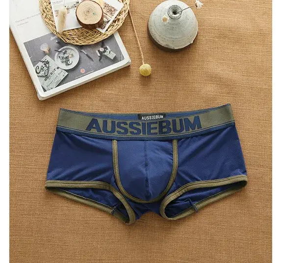 Men's mesh panties low waist fashion breathable mesh nest letter youth boxers — image 13