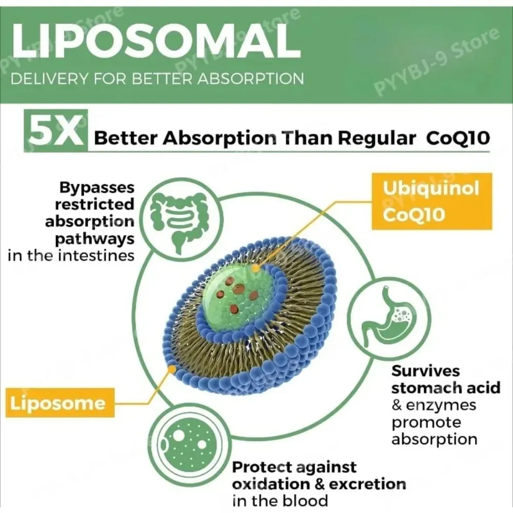 CoQ10 Ubiquinol 1000mg Vegan Softgels 60 Ct Lipossomal Coenzima Q10 de alta absorção para suporte diário antioxidante de energia cardíaca — image 4