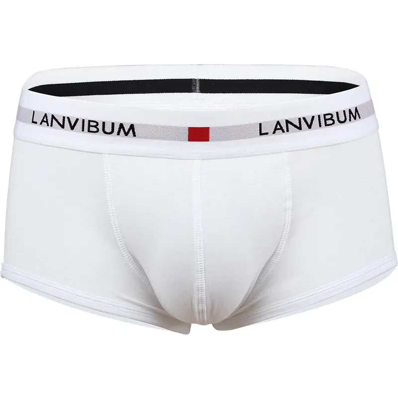 Roupa íntima masculina jovem em U levantada cintura baixa algodão quadrilátero calças cor sólida shorts masculinos grandes