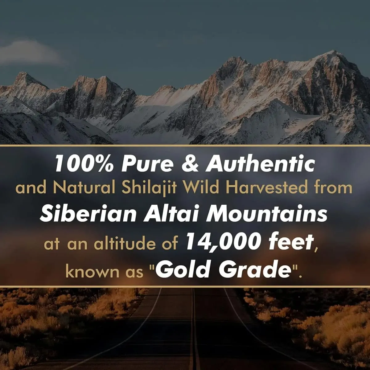 Shilajit puro siberiano original com ácido fúlvico e minerais residuais e gel de suplemento de ácido húmico 85+ para energia e sistema imunológico — image 5