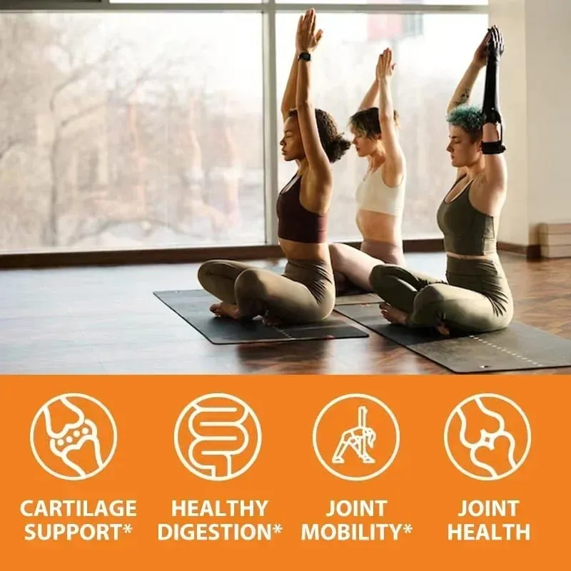 Glucosamine Chondroitin MSM with OptiMSM - Helps Maintain Healthy Joint Function and Mobility Protecting Cartilage Tissue — image 6