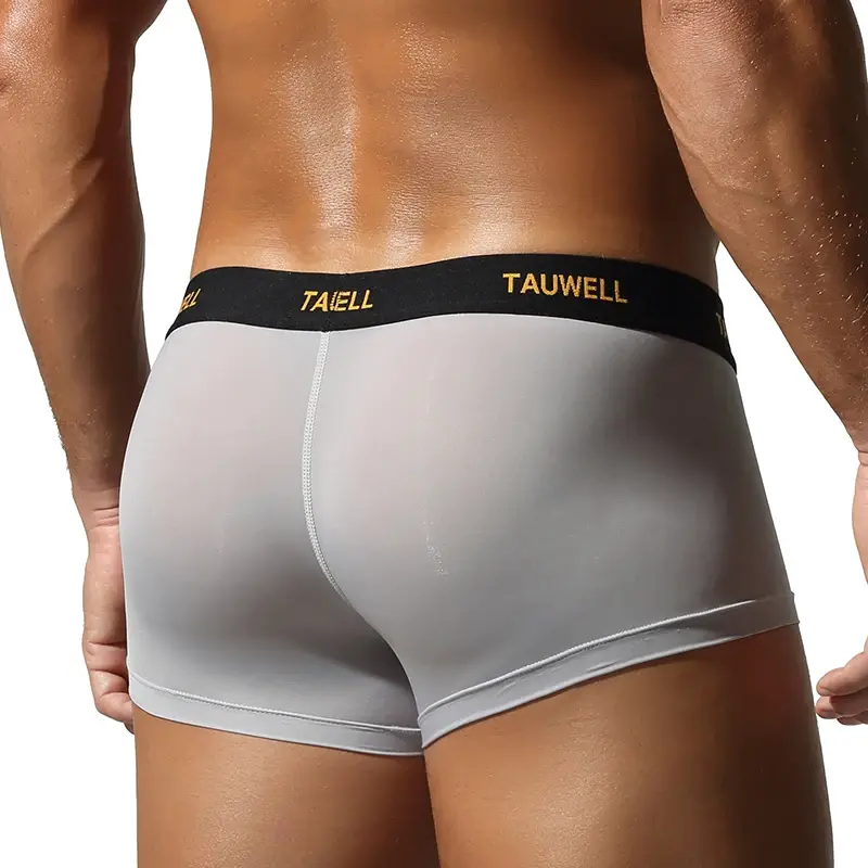 Men's Underwear Comfortable Cool Thin Sexy Semi-Transparent Flat Angle Pants with U-Shaped Pouch Briefs — image 6