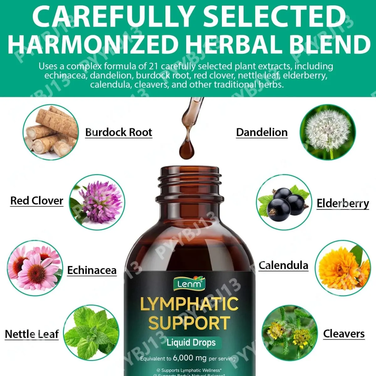 Lenm 60ml sistema linfático limpa suplementos líquidos de suporte imunológico gotas de ervas linfáticas orgânicas naturais para suporte de equilíbrio — image 6